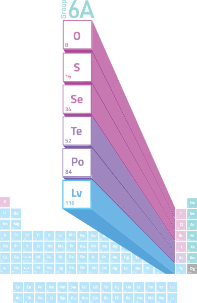 Ilustração apontando a localização na Tabela Periódica dos elementos químicos pertencentes aos calcogênios.