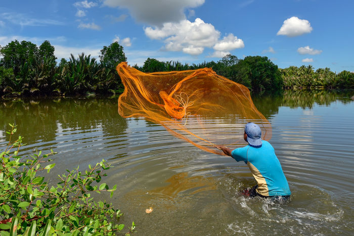 Pescador lançando uma rede de pesca no mar, um exemplo de extrativismo animal. 