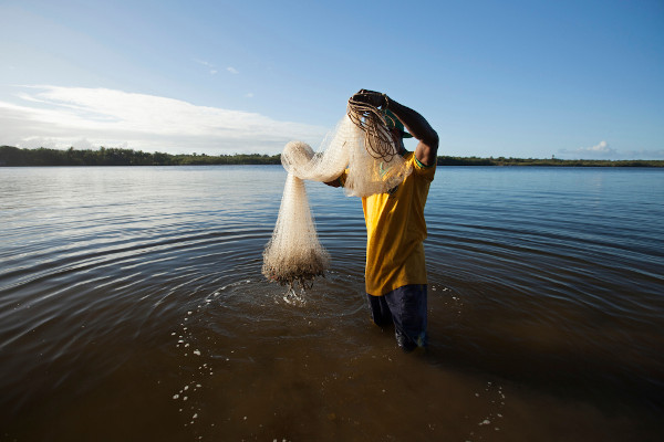 Pescador recolhendo uma rede, cheia de peixes, que havia sido lançada ao mar, um exemplo de extrativismo animal.