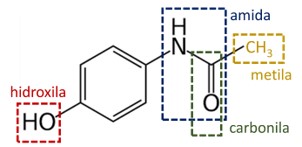 Grupos funcionais presente na estrutura do paracetamol.
