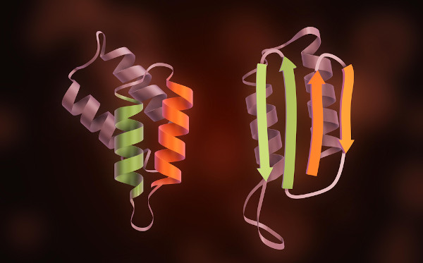Ilustração de duas proteínas cerebrais, uma normal e uma com menos dobras; essa versão anormal é denominada príon.