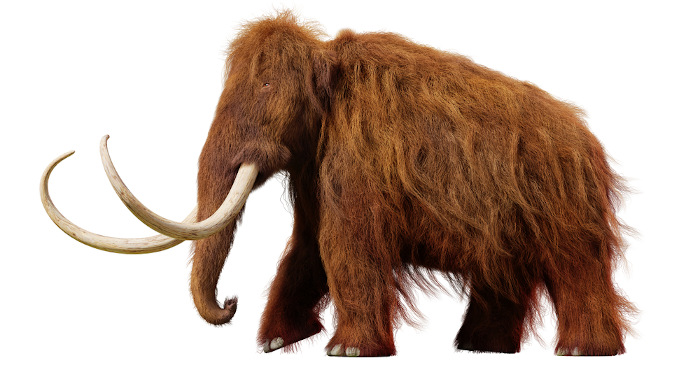 Mamute, exemplo de animal extinto.
