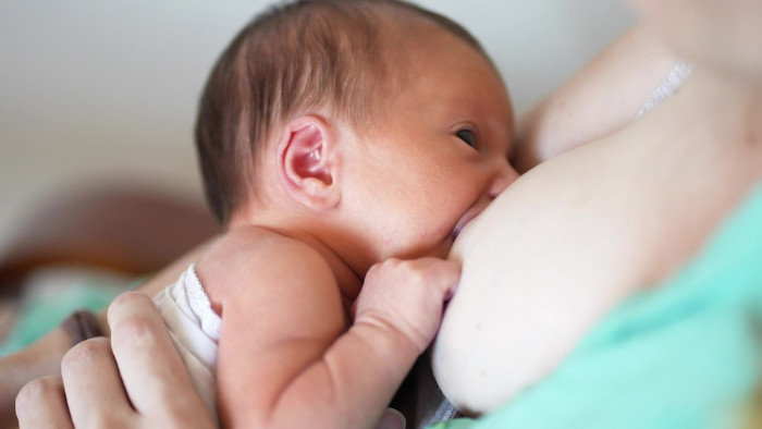 Bebê mamando o leite produzido pelas glândulas mamárias da mãe, estrutura que faz parte do sistema tegumentar.