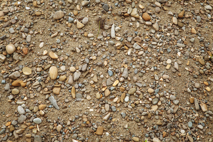 Região com areia, terra, folhas, caules e pedras como exemplo de mistura heterogênea sólida, que é separada por levigação.