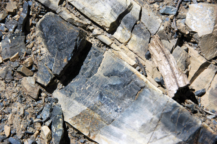 Rocha contendo uma mistura de apatitas, o principal mineral de obtenção do fósforo. [2]