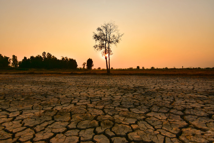 Solo desgastado pela seca, uma consequência do El Niño.