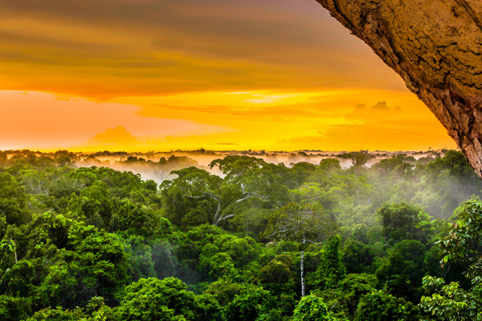 Pôr do sol na Floresta Amazônica, a maior floresta equatorial do mundo, região de ocorrência do clima equatorial.