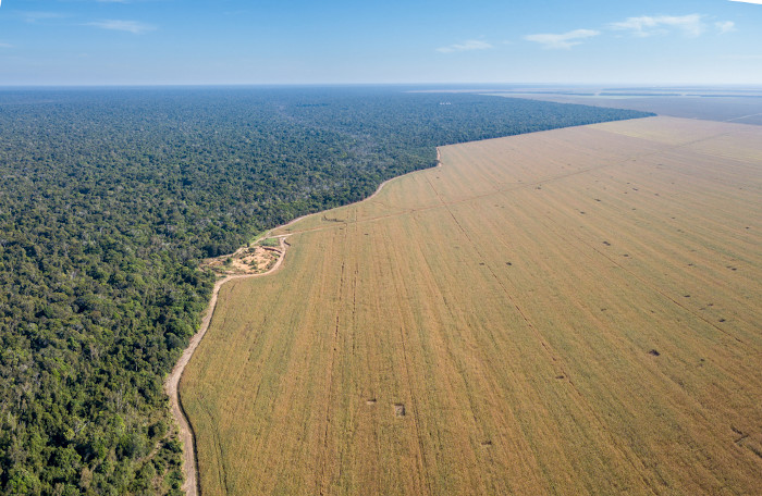 Fronteira entre uma plantação de soja e uma área indígena, na Amazônia. A agricultura provoca graves impactos ambientais. 