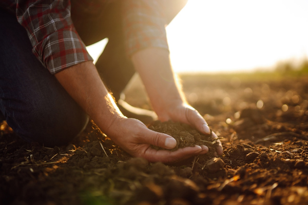 Mãos segurando um punhado de terra no campo, uma relação estudada na geografia agrária.