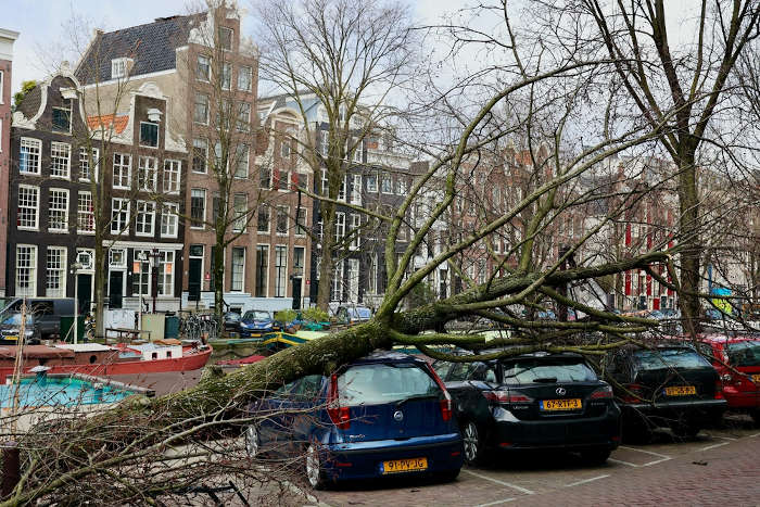 Danos causados por um ciclone extratropical nos Países Baixos. 