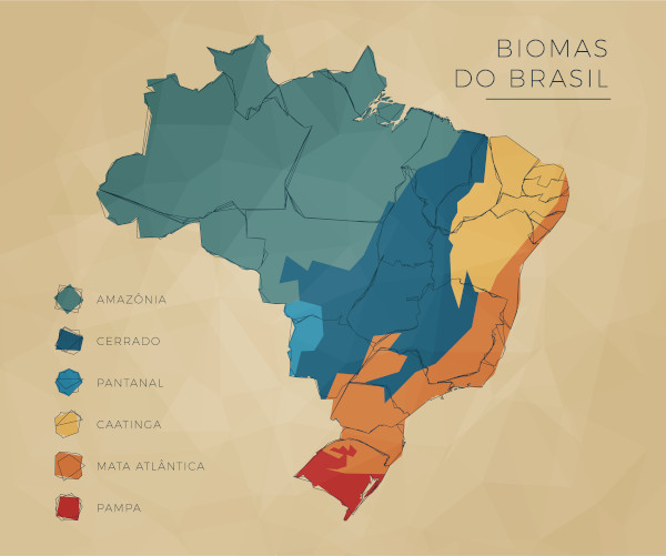 Mapa do Brasil indicando a localização dos biomas brasileiros: Amazônia, Cerrado, Caatinga, Mata Atlântica, Pantanal e Pampa.