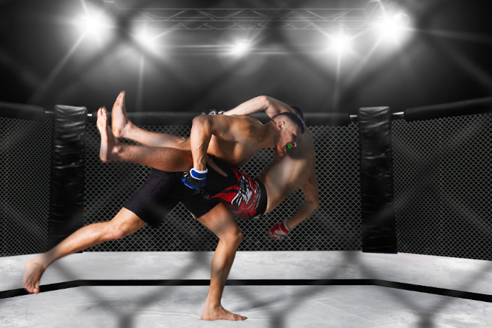 Dois atletas de MMA, uma das principais artes marciais, em luta. 