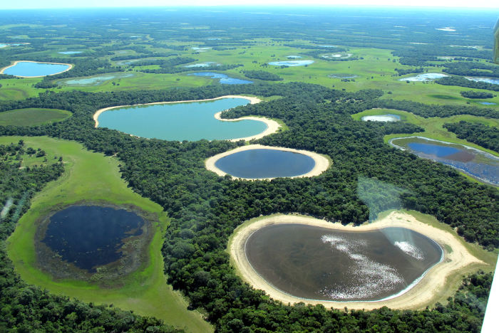 Vista superior de uma região de ocorrência do Pantanal, um dos biomas brasileiros.