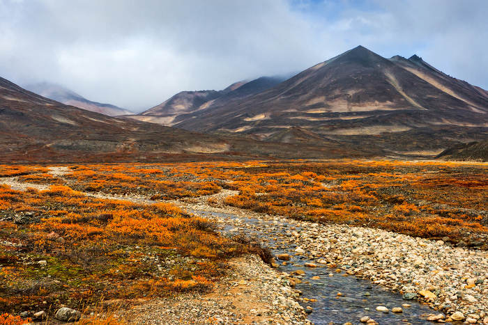 Montanhas, vegetação alaranjada e um rio em paisagem da Tundra, um tipo de bioma.