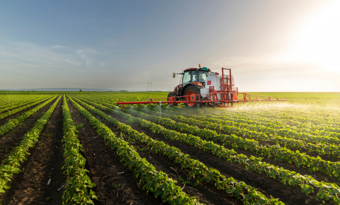 Trator pulverizando pesticidas em uma área de monocultura, um tipo de agricultura intensiva.
