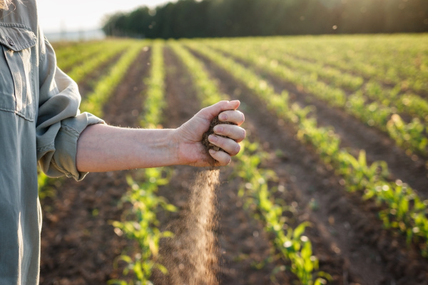 Fazendeiro verificando a qualidade do solo nas proximidades de sua plantação como representação da ideia de agricultura.