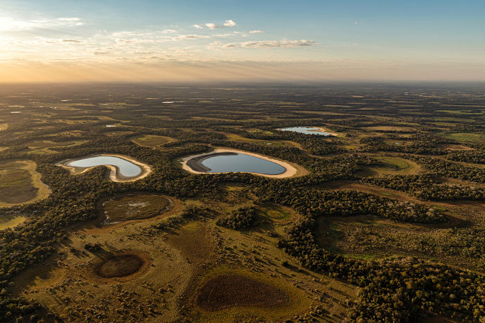 Vista aérea de porções de água no Pantanal, forma de relevo de planície.