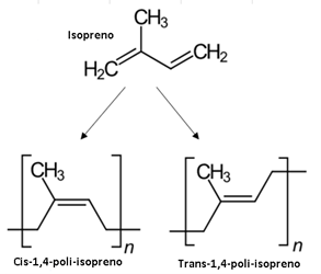 Estrutura química do cis-1,4-poli-isopreno, isômero extraído do látex que é utilizado na produção da borracha.