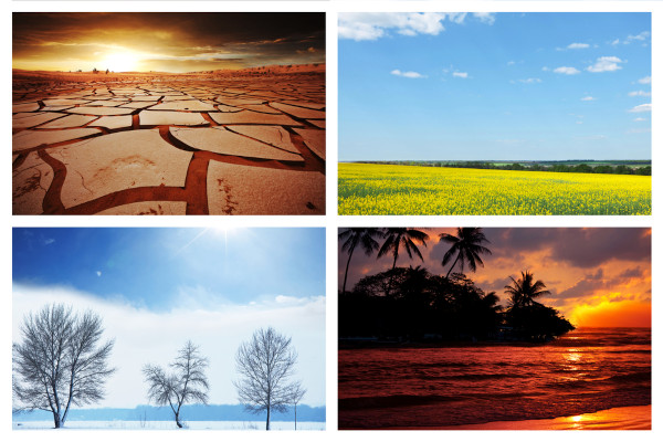 Quatro paisagens em alusão aos tipos de clima do mundo.