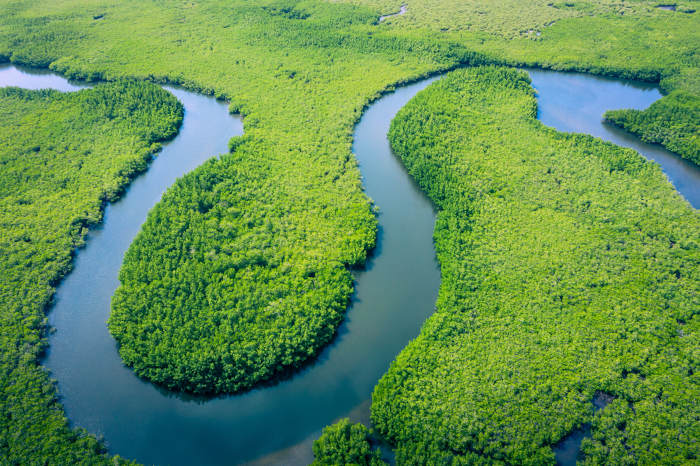 Vista aérea de densa floresta equatorial, na Amazônia, representando um tipo de clima do mundo.