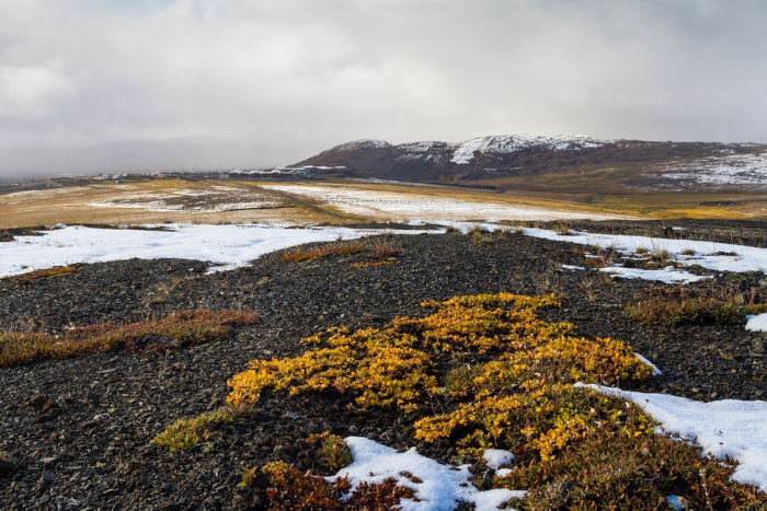 Tundra em paisagem de clima polar, tipo de clima do mundo.
