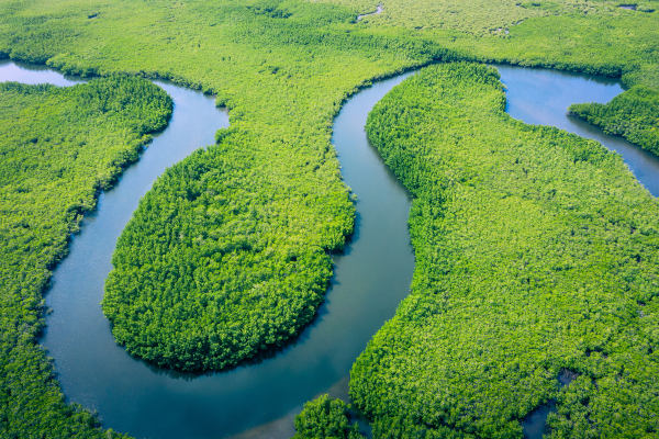 Vista aérea do Rio Amazonas, o rio mais extenso do mundo.