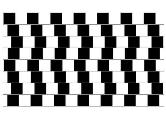 Linhas pretas e brancas em exemplo de ilusão de ótica.