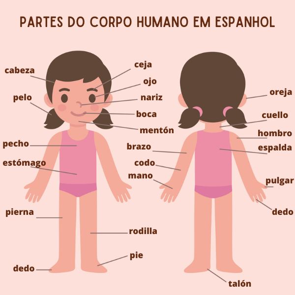 Ilustração mostrando algumas partes do corpo humano em espanhol (algunas partes del cuerpo humano).