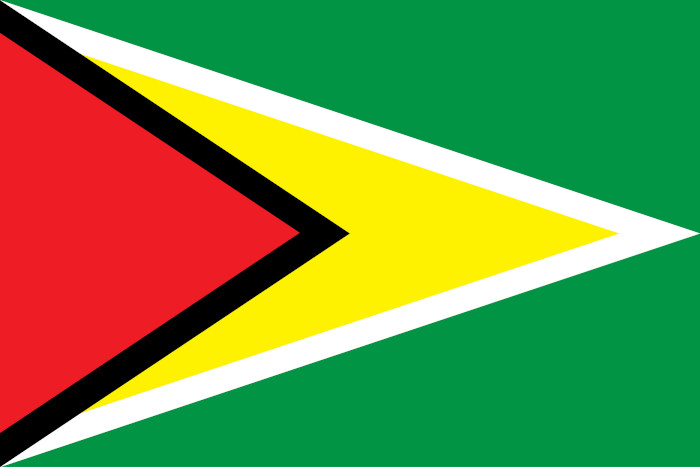 Bandeira da Guiana, país da América do Sul.