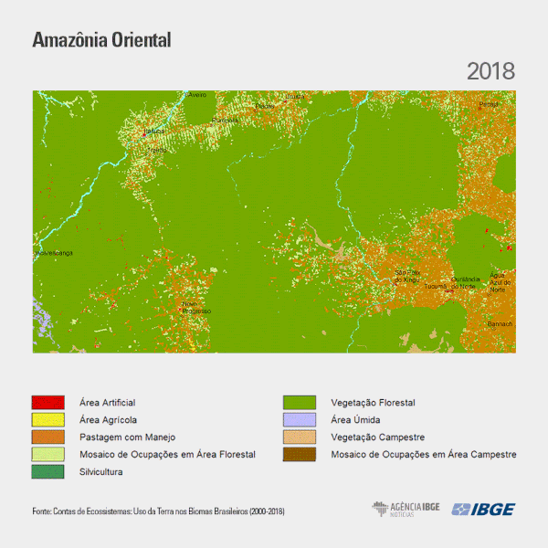 Gif produzido pelo IBGE mostrando uma das situações de desmatamento no Brasil: desmatamento na Amazônia Oriental.