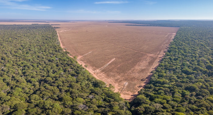 Desmatamento ilegal da Floresta Amazônica, no estado do Mato Grosso, como exemplo de desmatamento no Brasil.