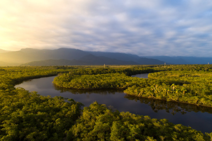 Vista da Floresta Amazônica, um exemplo de floresta tropical.