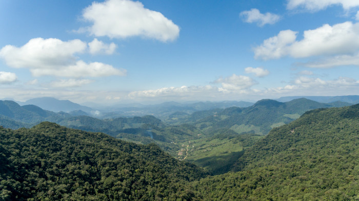Vista aérea da Mata Atlântica, exemplo de vegetação tropical do Brasil.