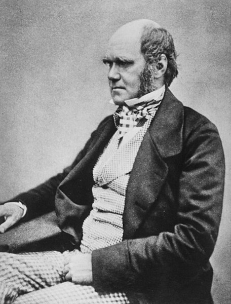 Charles Darwin, autor do evolucionismo.