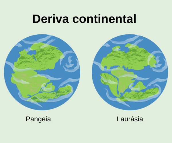 Divisão dos continentes segundo a deriva continental.