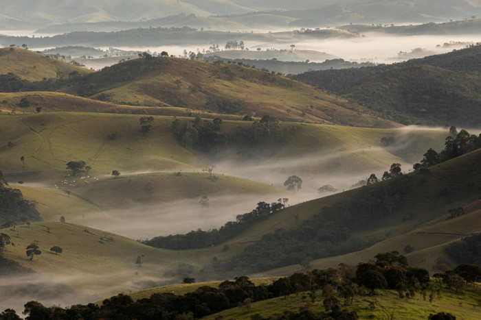 Clima tropical de altitude: aspectos gerais - Mundo Educação