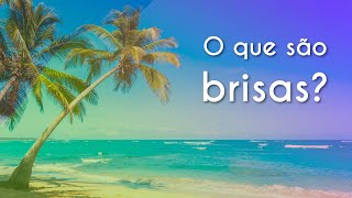 Escrito"O que são brisas?" sobre imagem de uma paisagem do mar com coqueiros em movimento representando a brisa.