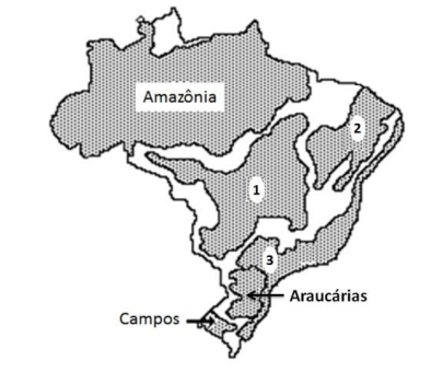 Ilustração mostrando alguns dos domínios morfoclimáticos do Brasil em uma questão da Unicamp.