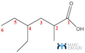 Ácido 4-etil-2-metil-hexanoico, um exemplo de ácido carboxílico.