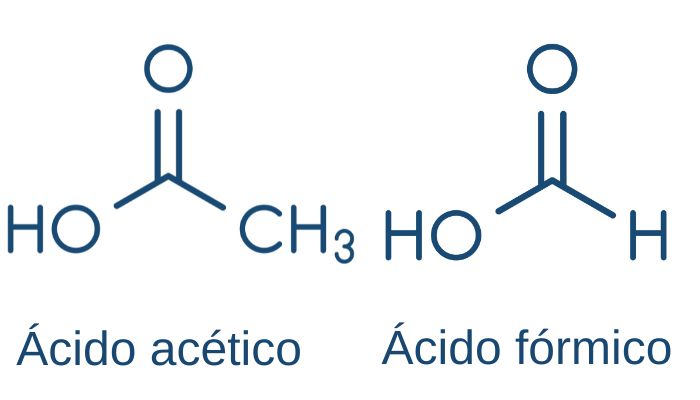 Fórmula estrutural plana do ácido acético e do ácido fórmico, exemplos de ácidos carboxílicos.