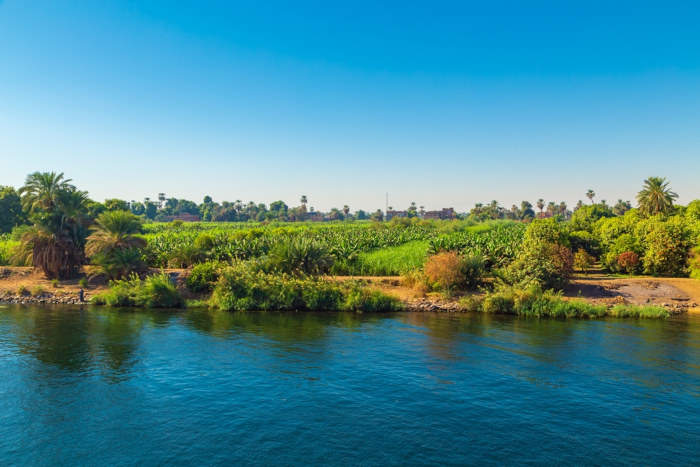 Cultivos agrícolas às margens do rio Nilo em Aswan, no Egito.