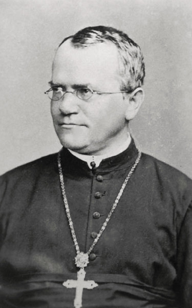 Fotografia de Gregor Mendel, o responsável pelas leis de Mendel, ligadas à hereditariedade.