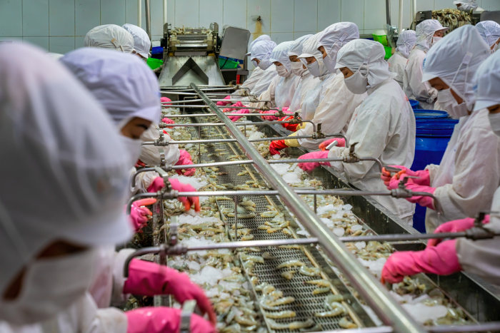 Trabalhadores em uma indústria alimentícia, um setor dos Novos Tigres Asiáticos.