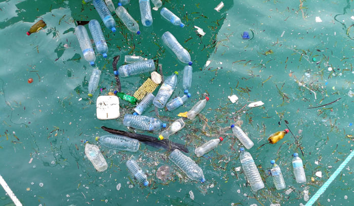Garrafas plásticas flutuando em águas oceânicas, uma das fontes de poluição marinha.