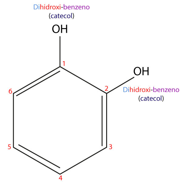 1,2-dihidroxi-benzeno ou catecol, um exemplo da nomenclatura do fenol.
