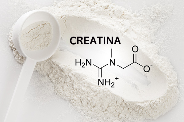 Fórmula estrutural química da creatina sobre uma colher com a substância creatina.