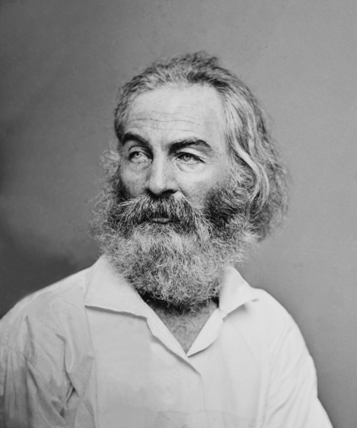 Fotografia de Walt Whitman, um famoso escritor estado-unidense.