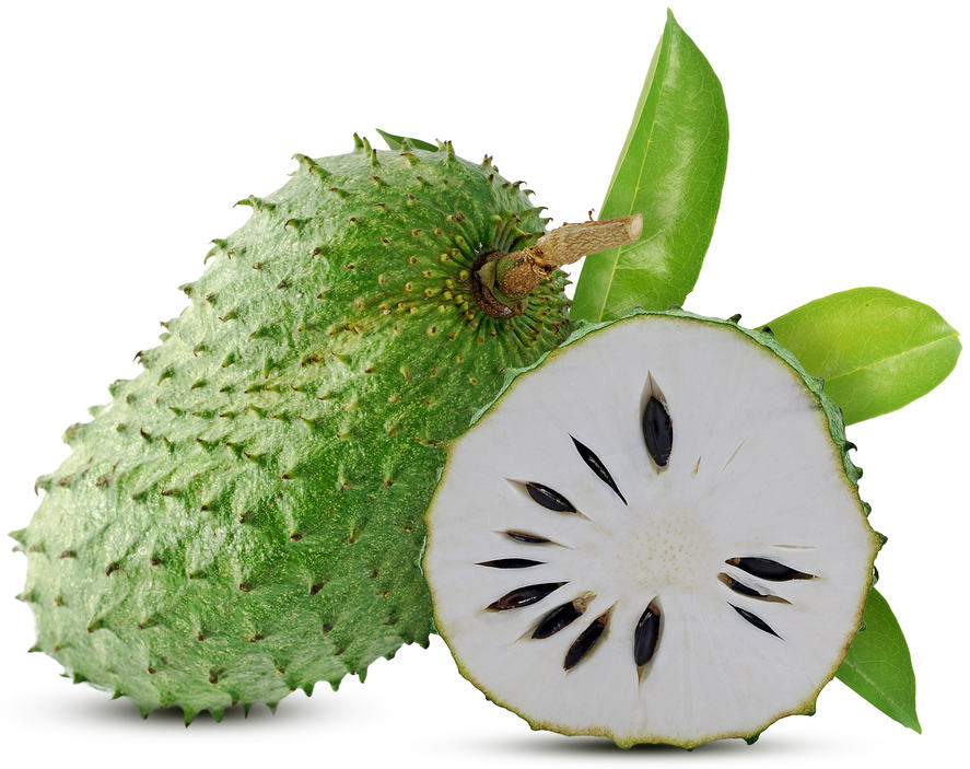 Graviola isolada em fundo branco, um tipo de fruto agregado, um dos tipos de frutos.