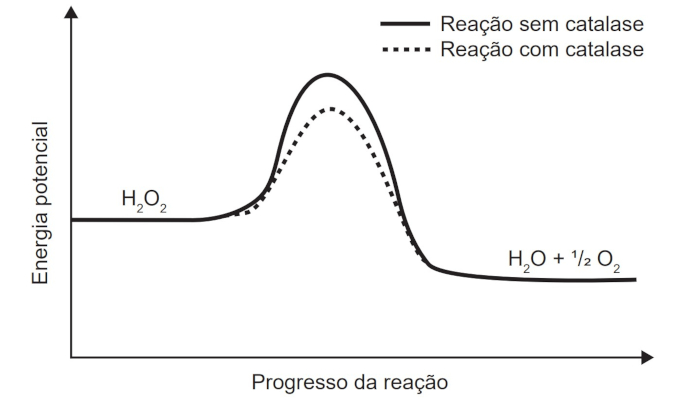 Gráfico mostrando a energia de uma reação de decomposição em uma questão do Enem sobre cinética química.