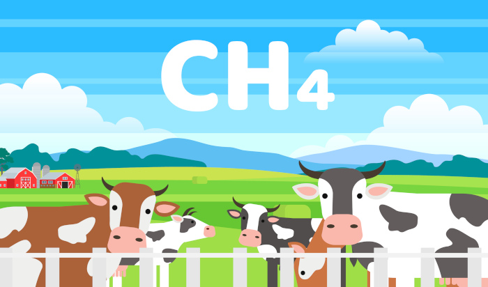 Ilustração de gado em fazenda e símbolo do metano, em texto sobre consumo de carne e aquecimento global.
